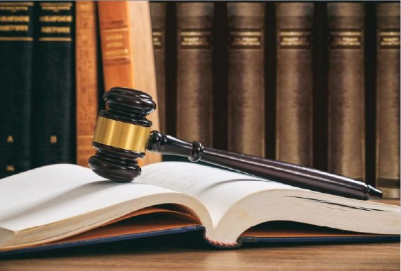 JUDGMENT ALERT! Public Procurement Under the Spotlight: A Win for Transparency